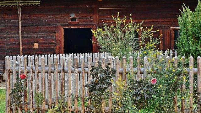Le bois dans votre logement