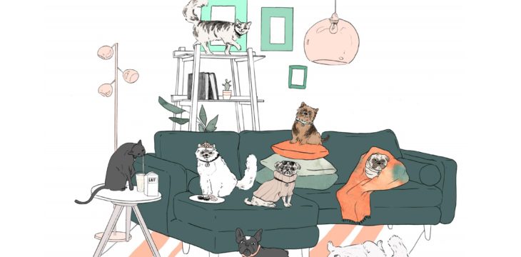 Des meubles tendances pour vos animaux de compagnie