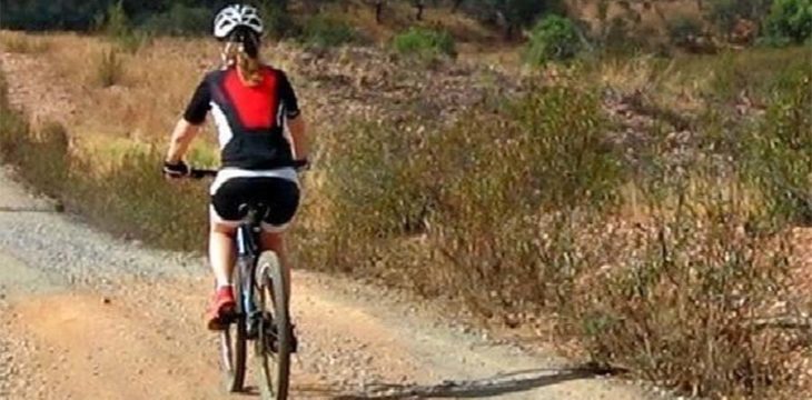 L’Alsace à vélo électrique