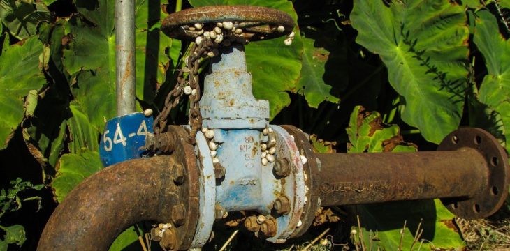 7 signes importants indiquant une fosse septique pleine