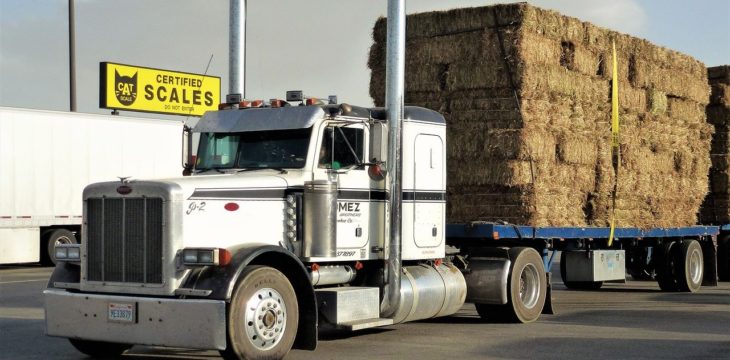 Crochet de retenue pour camion-remorque, quel est son rôle ?