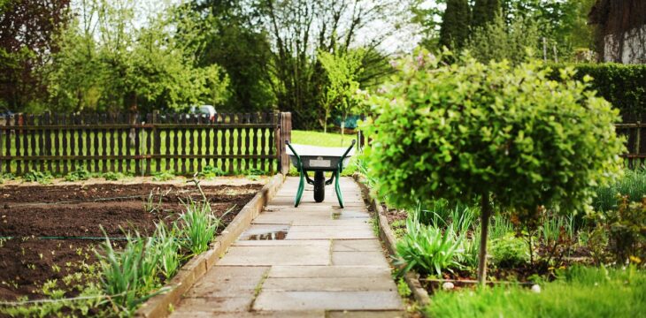 Quels sont les critères essentiels pour choisir un arboriculteur ?