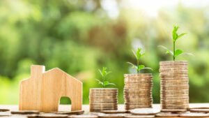 Investir en Ille-et-Vilaine : les clés pour diversifier votre patrimoine intelligemment