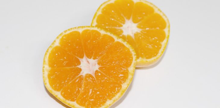 La clémenvilla, un dessert hors norme